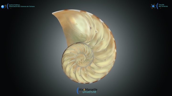 Nautiloïde - Nautilus 3D Model
