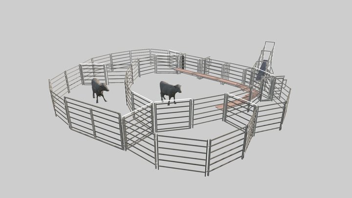 100 Head Cattle Yard 3D Model