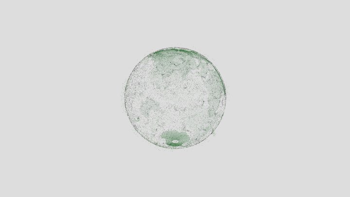 a-windy-day 3D Model