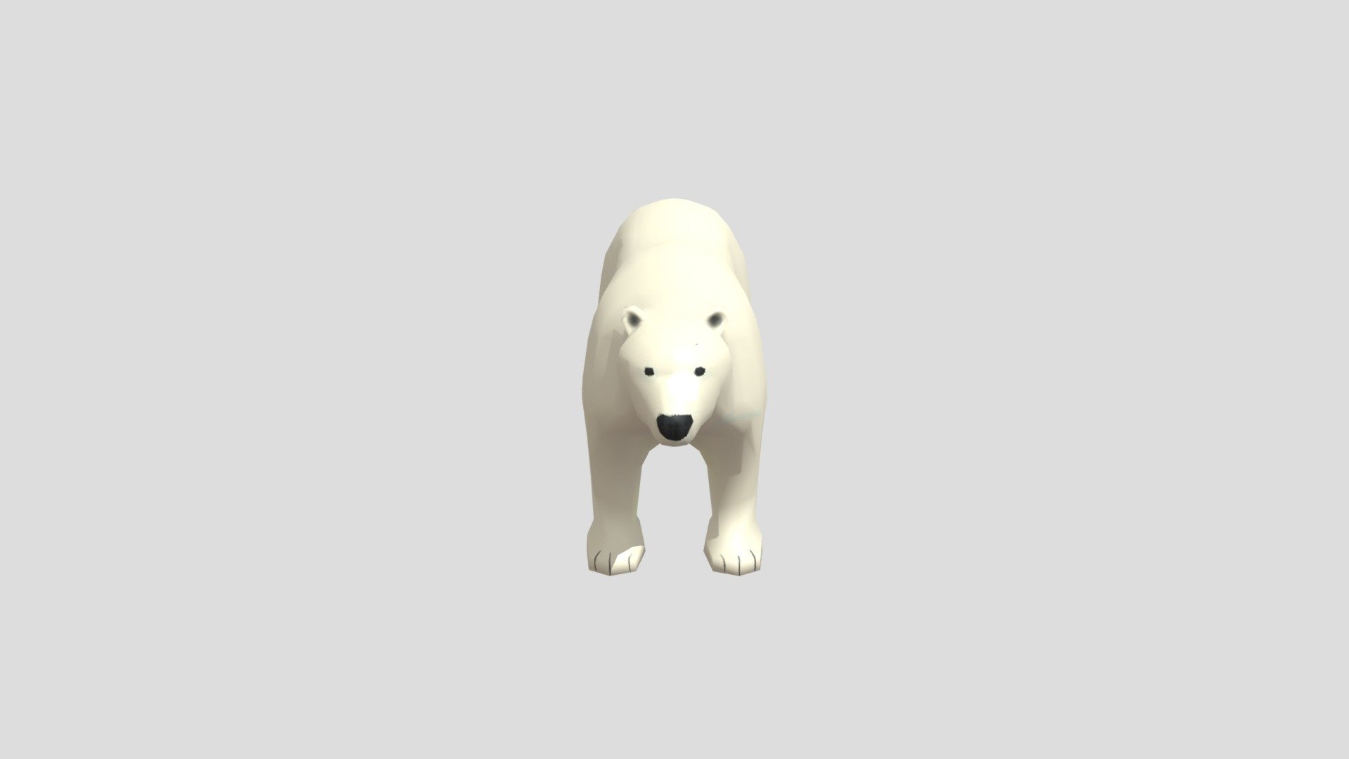 Polar Bear