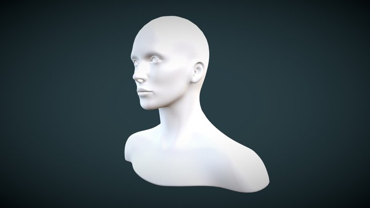 Head Base Model Animated 3D Model