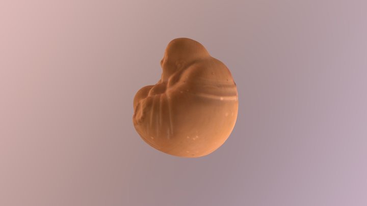 Mlf 3D Model
