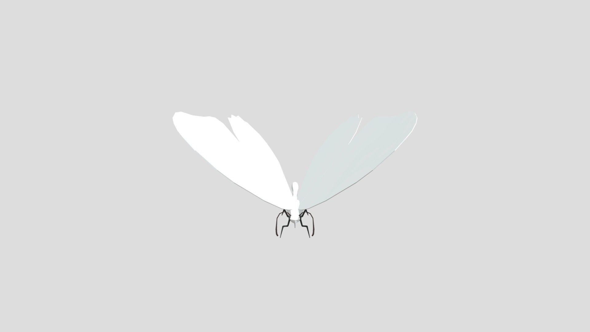 Butterfly from Poly by Google