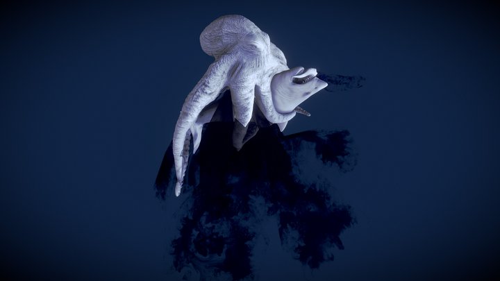 Shark vs Octopus 3D Model