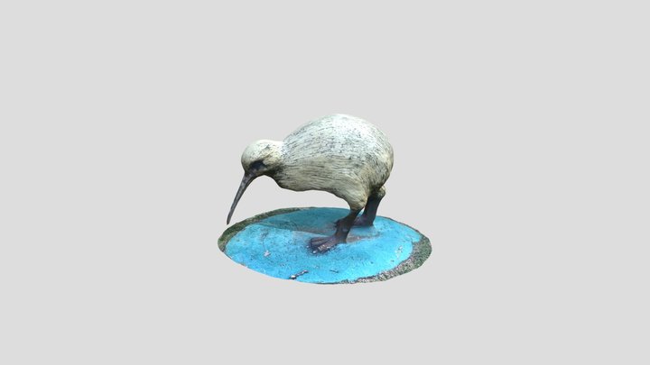 Kiwi 3D Model