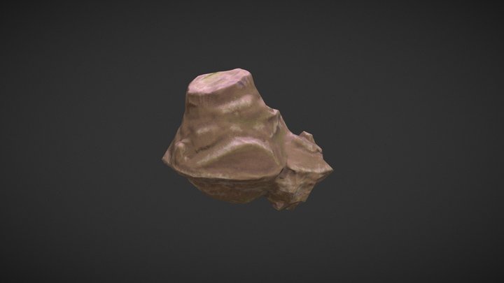 Rock_LOD0 3D Model