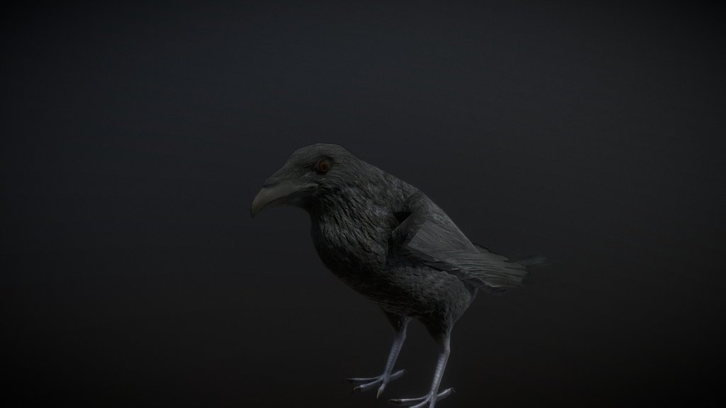 Crow