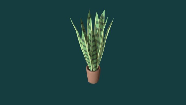 sansevieria 3D Model