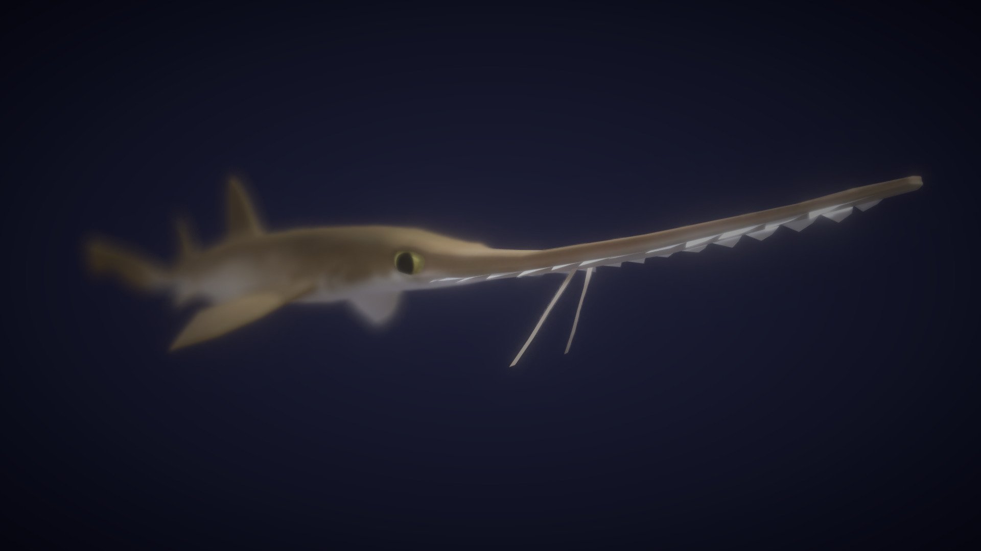 Japanese Sawshark 3D model by CatfishYAY [d5ad759] Sketchfab