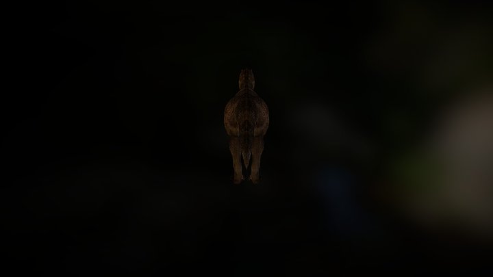 trex 3D Model