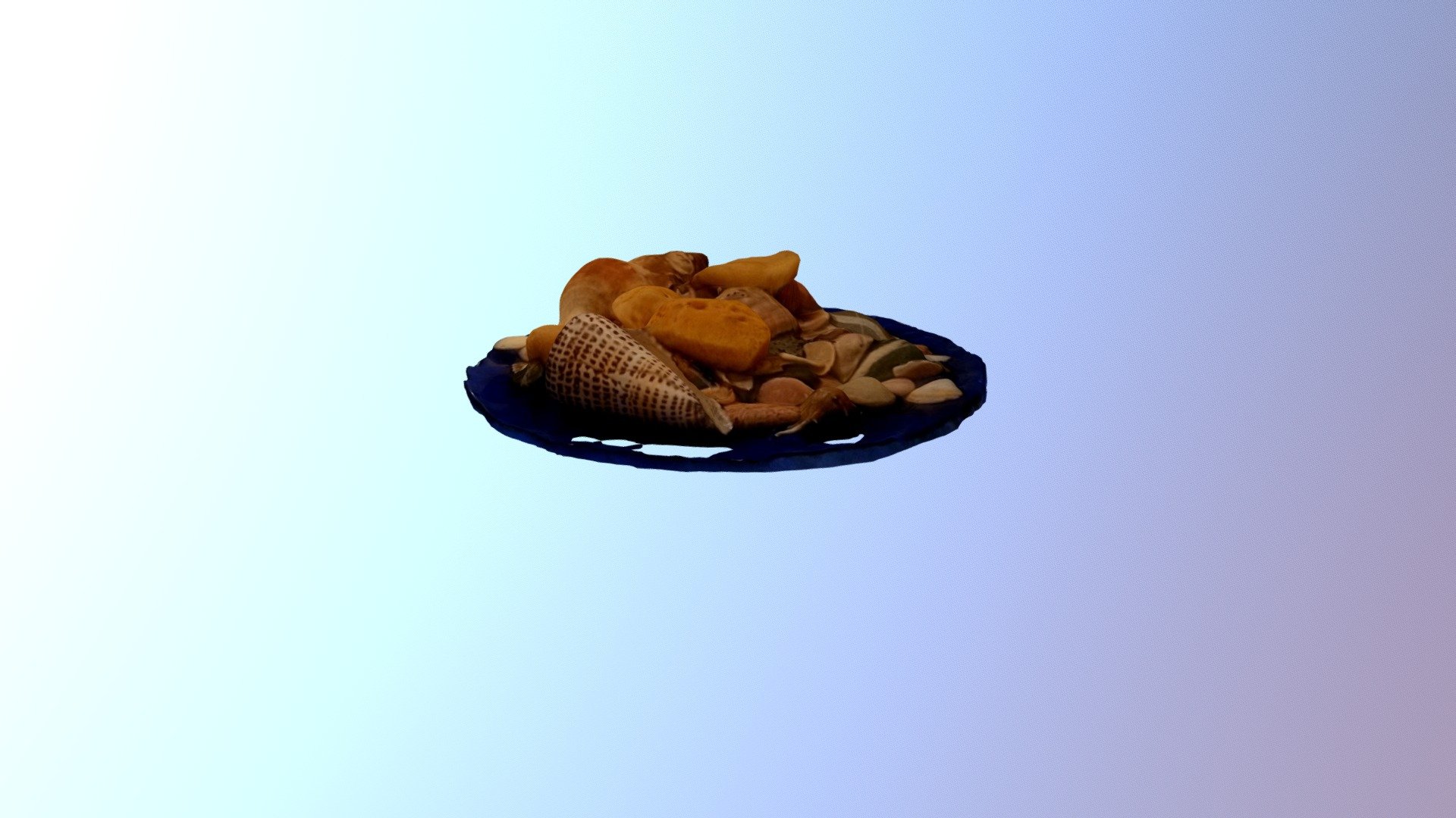 Conchiglie bagno