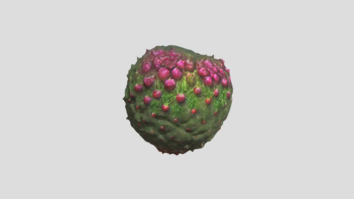 Exotic fruit 2 3D Model