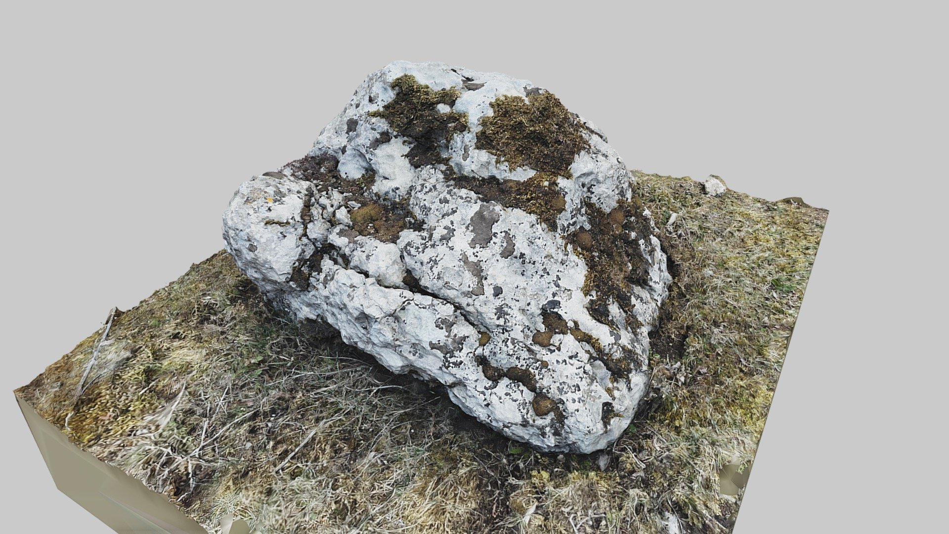 Gotland Mossy Rock - RealityScan