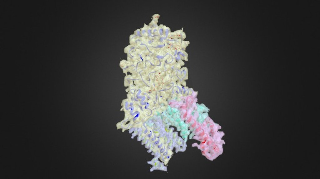 Human Gamma-Secretase at 3.4 Å - NATURE (2015)