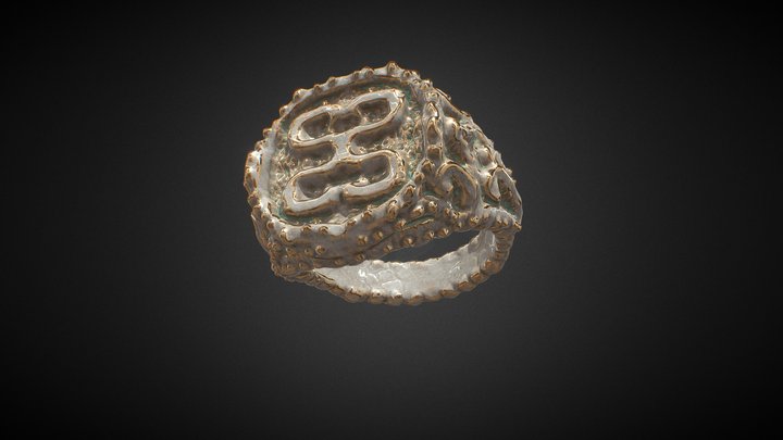 Bone Ring 3D Model