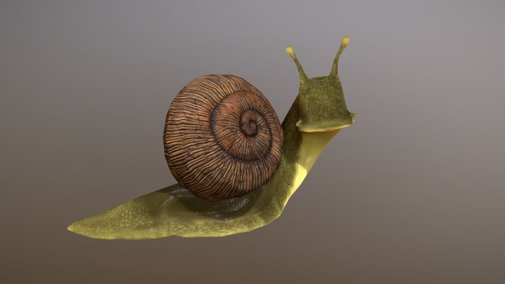 Friendly Snail 3D Model