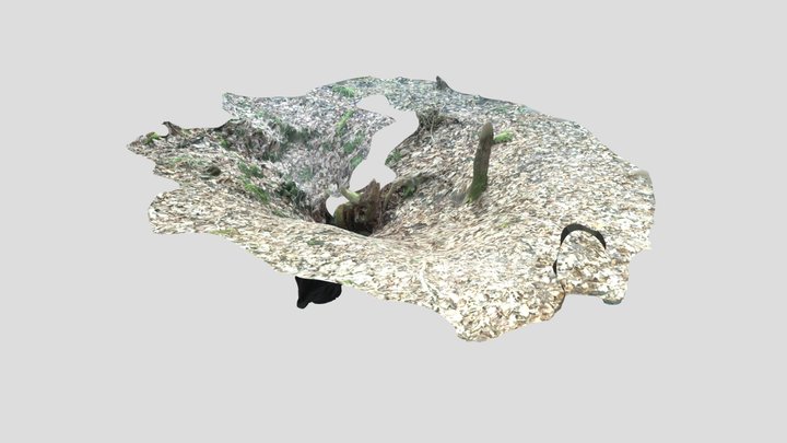 Pas Ronds n°4 (Gouffre des) 3D Model