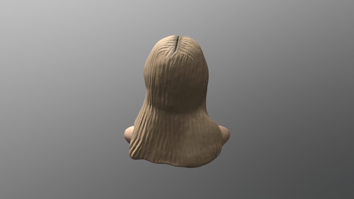 Z-brush Head Model Study 3D Model