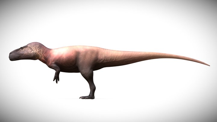 Torvosaurus gurneyi