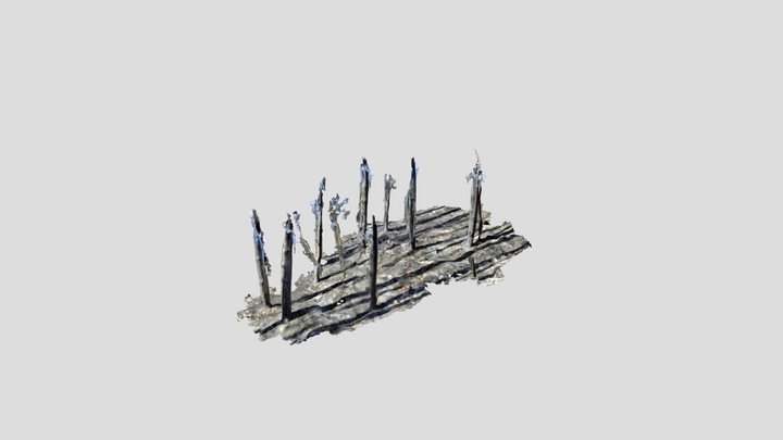 Carso burnt 09 3D Model