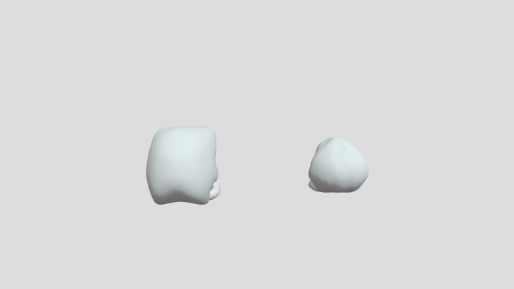 Raven skulls 3D Model