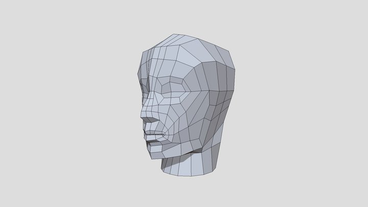 Head Topology 3D Model