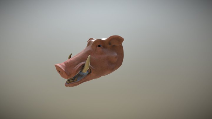 Practice Pig Head 3D Model