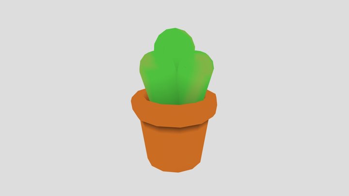 Cacti 3D Model