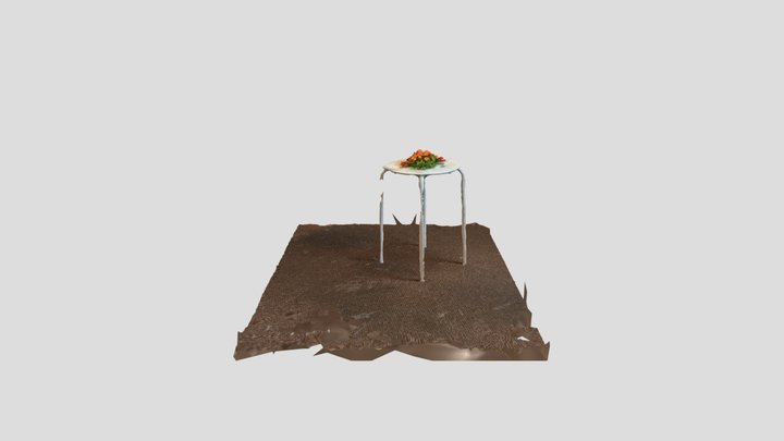 Scan 2023-05-05T20:55:06.397Z 3D Model