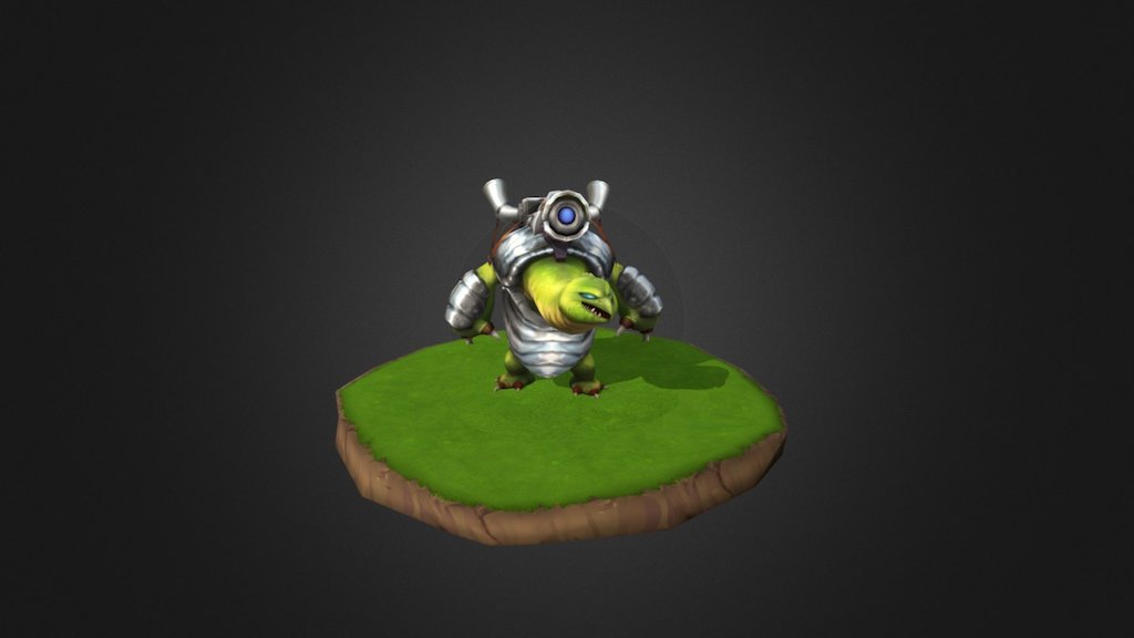 Torty Shell