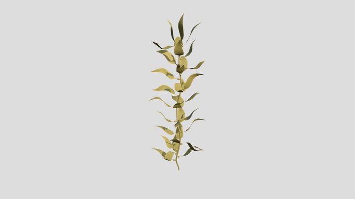 Seaweed 3D Model