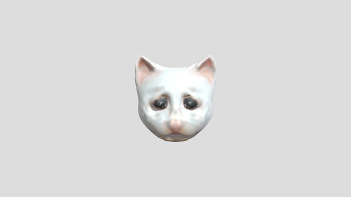 Crying Cat 3D Model
