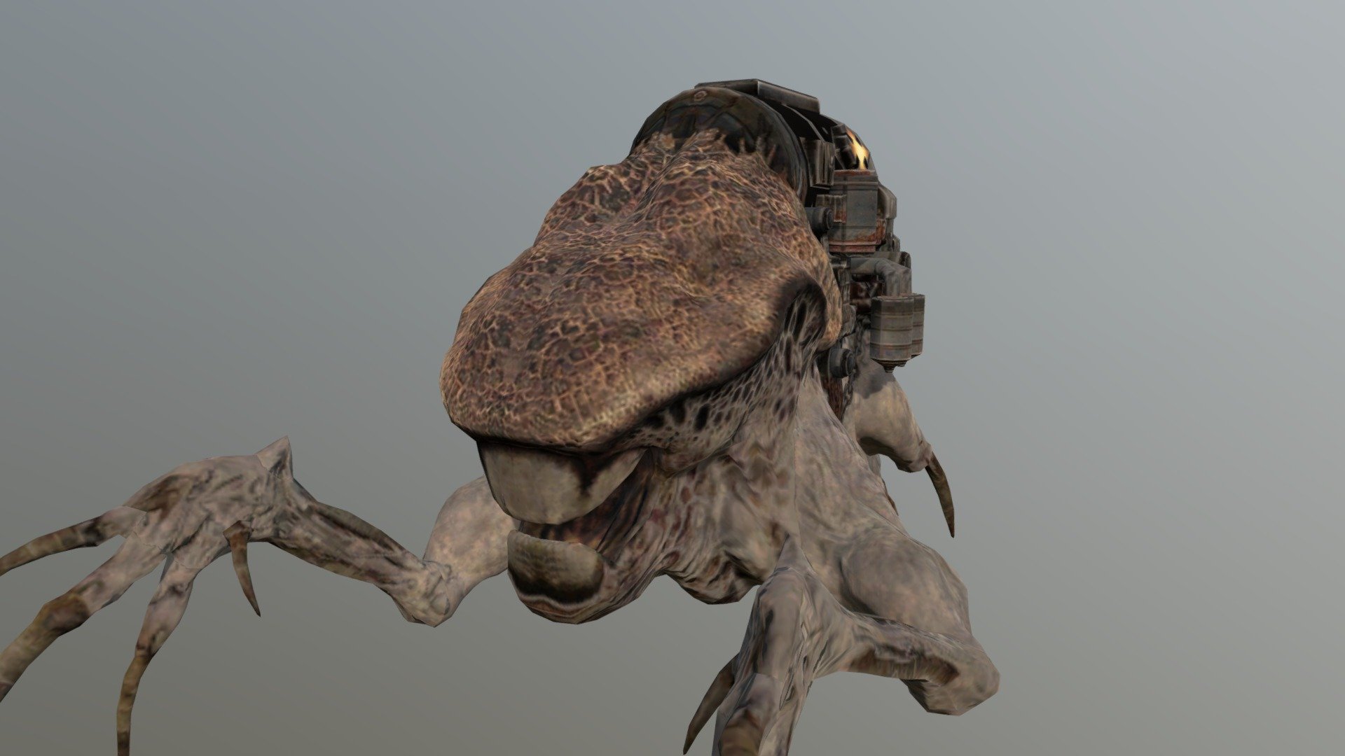 Locust Ticker - Download Free 3D model by Carmine.d47f [d5df76a ...