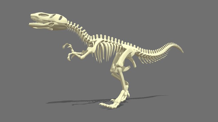 Dinosaur 3D models - Sketchfab