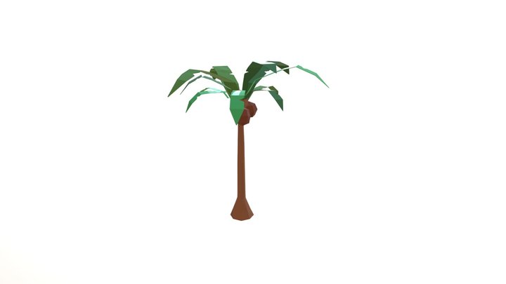 Palm Tree Low Poly 3D Model