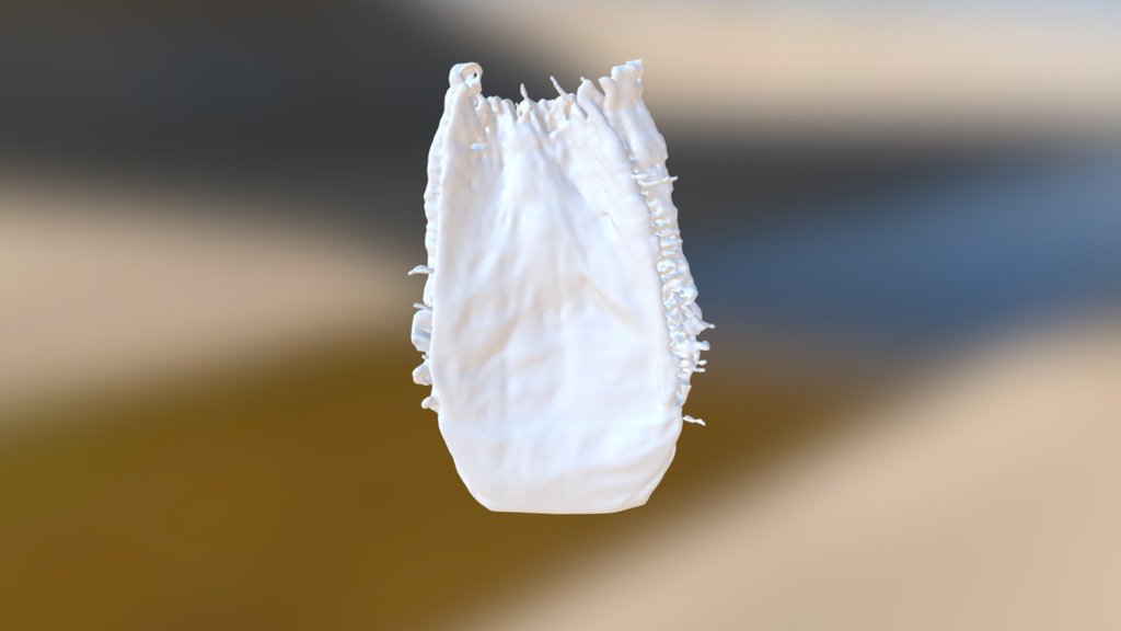 Silk6 S3 Pad From Bag Back