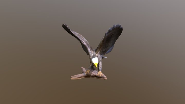 Eagle 3D Model