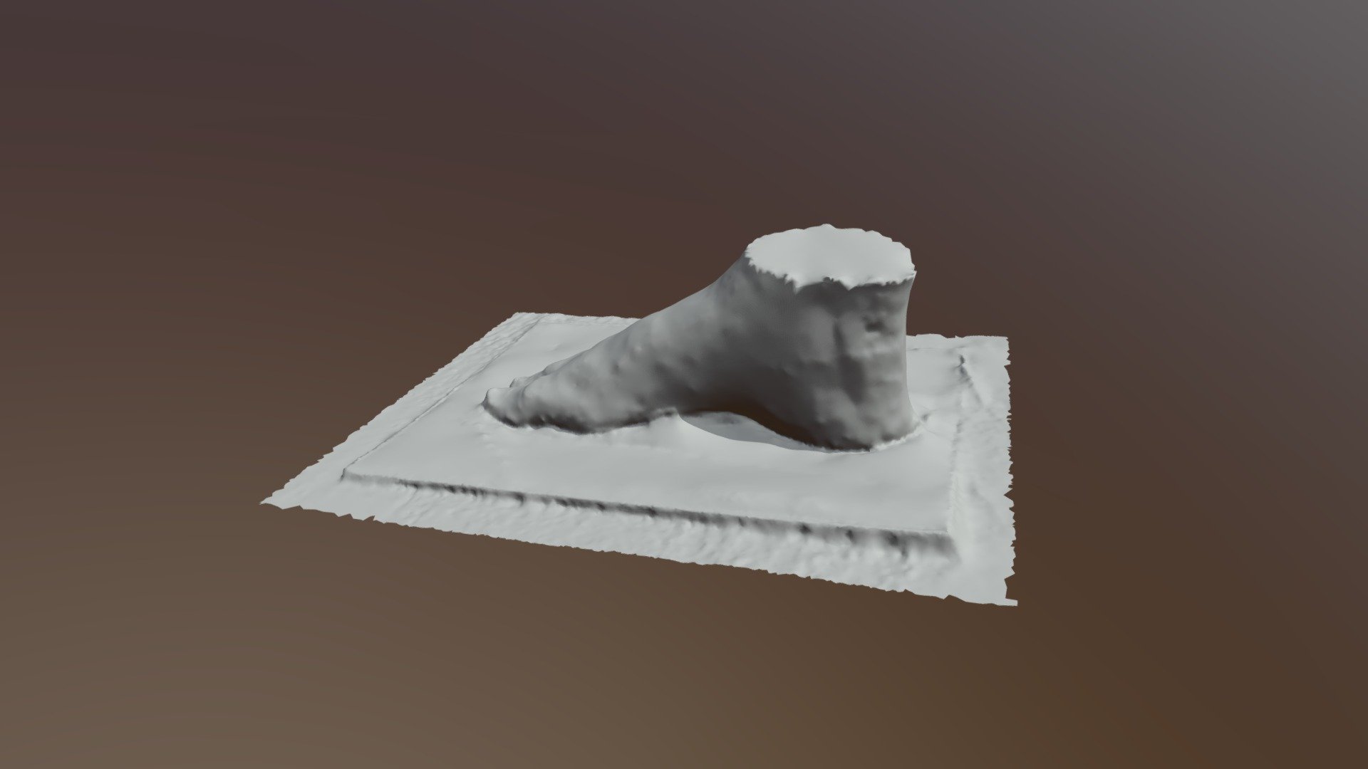 Foot 3D Model