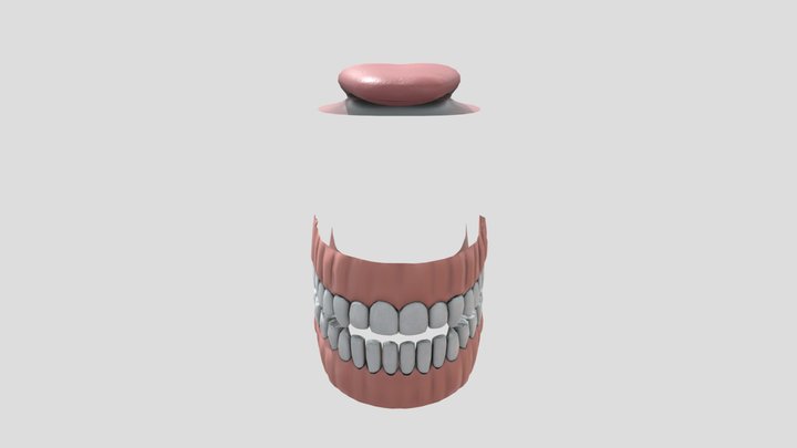 A set of teeth 3D Model