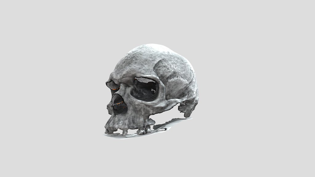 UNC_Scan_39