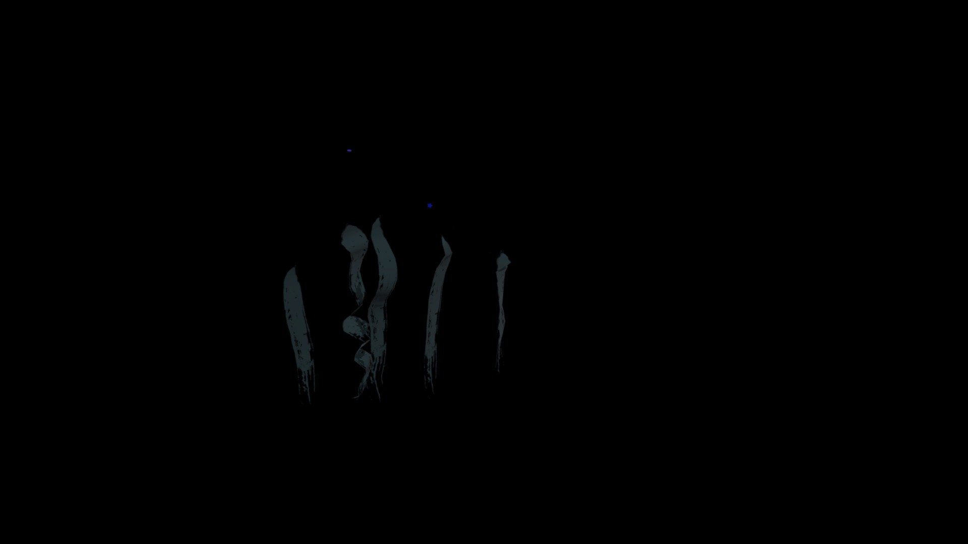 Animas instalation p5