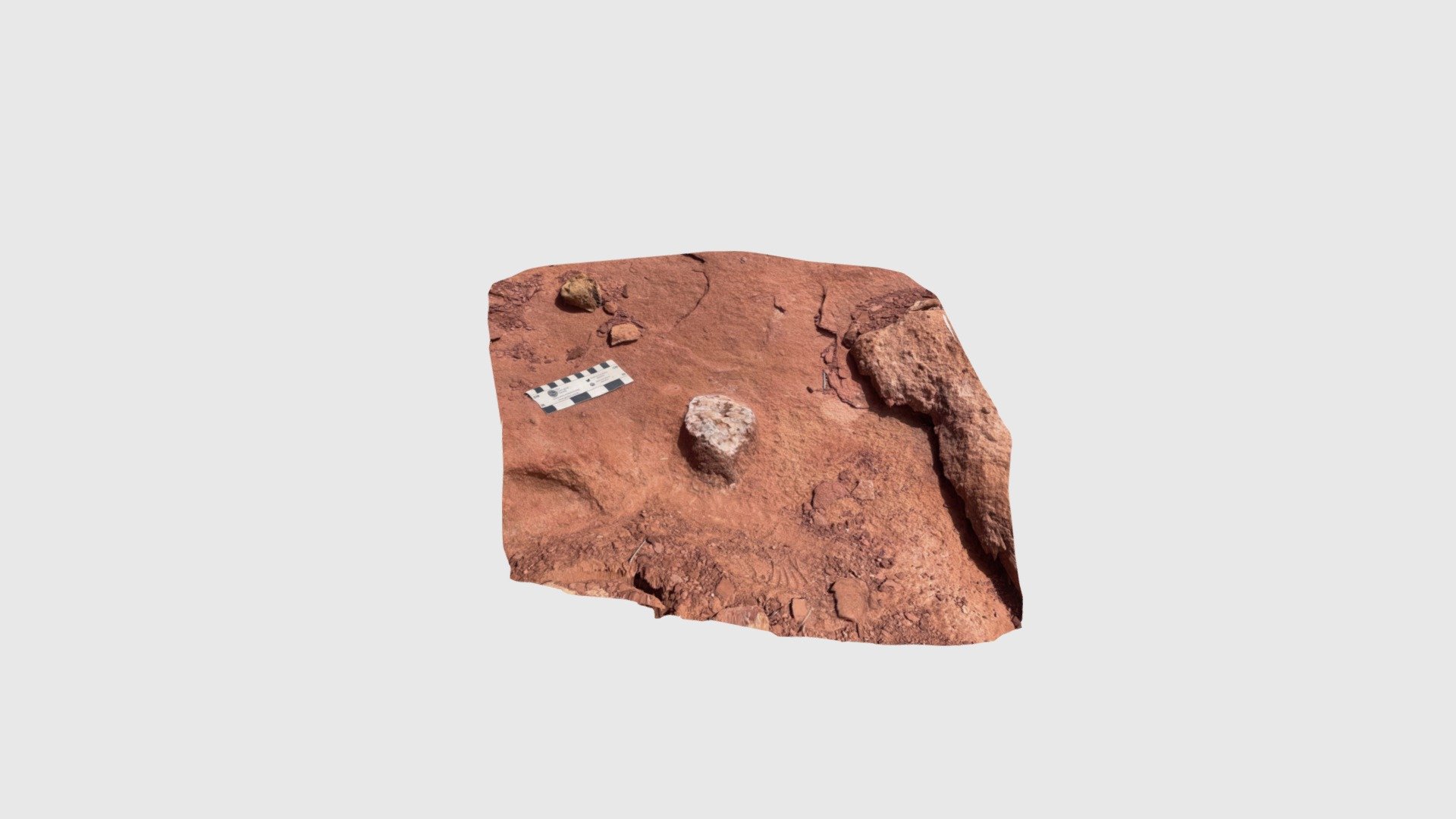 Root Geode - Download Free 3D model by Safaridb [d5fb746] - Sketchfab