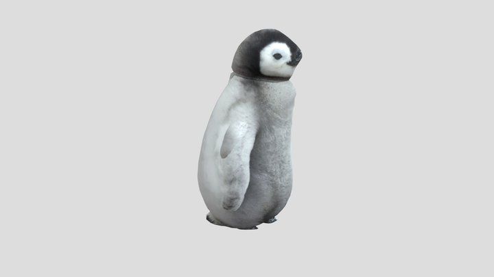 企鵝東東 3D Model