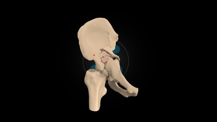 HumanX Medical Case Study #004