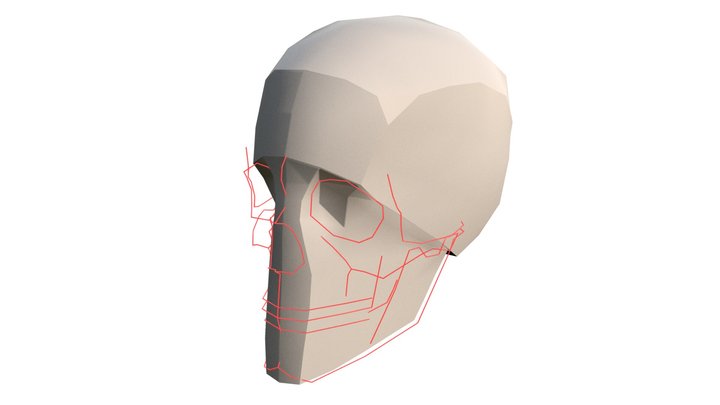 Череп 443 стр 3D Model