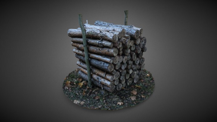 Wood stack - open-air museum at Kolbuszowa 3D Model