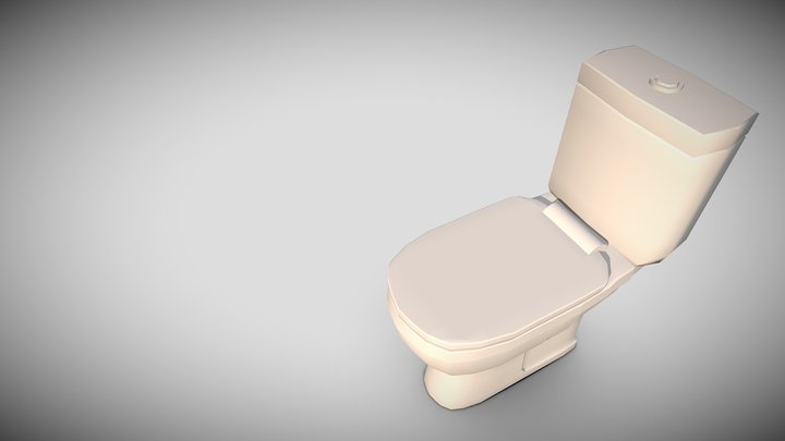 Toilet Test 3D Model