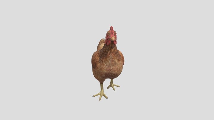 3d 3D Model