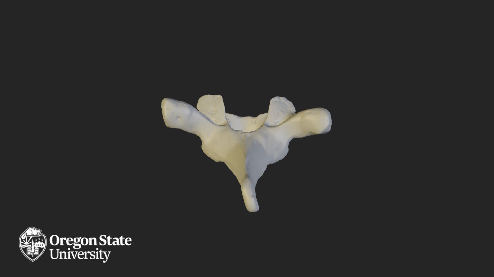 T2 — Sketchfab embed 3D viewer