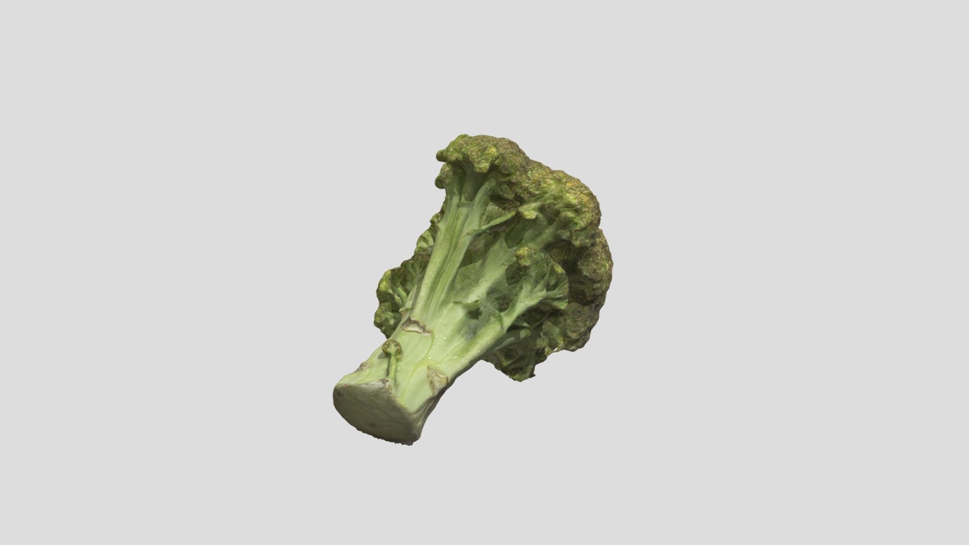 Broccoli
